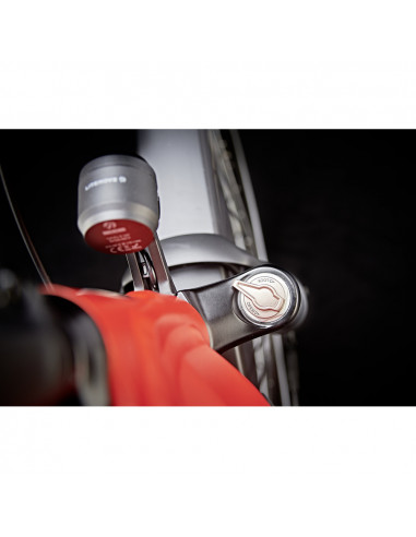 Kalkhoff Entice 5.B Move+ Diamant