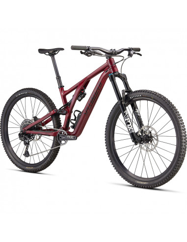 Specialized Stumpjumper EVO Comp Alloy 29