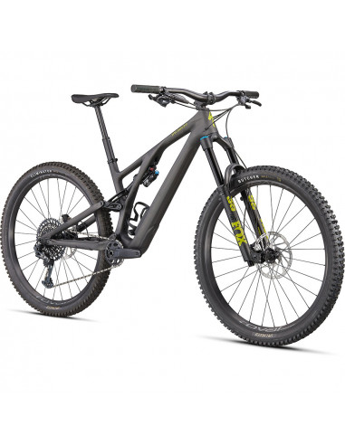 Specialized Stumpjumper EVO Expert 29