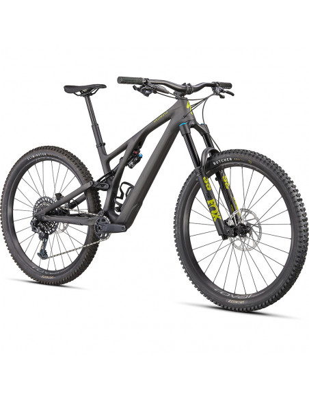 Specialized Stumpjumper EVO Expert 29