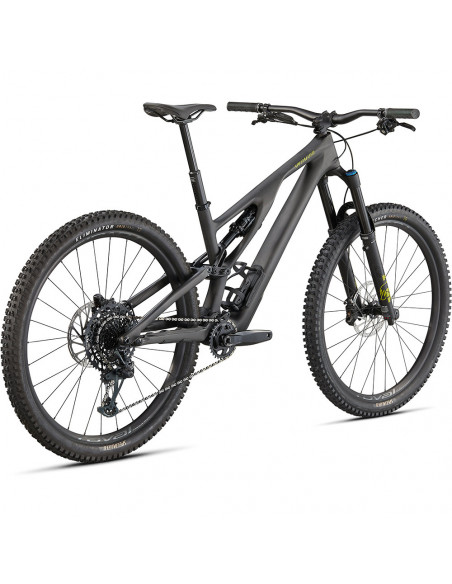 Specialized Stumpjumper EVO Expert 29