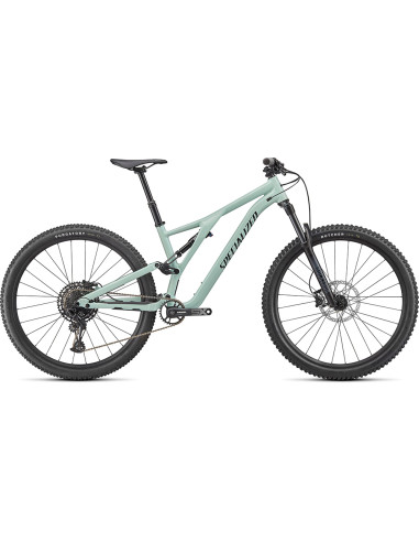 Specialized Stumpjumper Alloy, 29