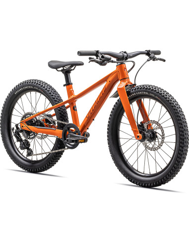 Specialized Riprock Barnesykkel, 20