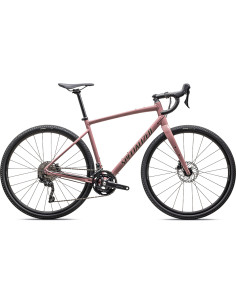 Specialized Diverge E5 Elite 2