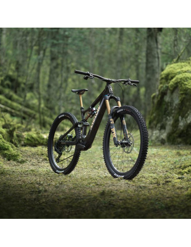 Amflow PL Carbon Pro