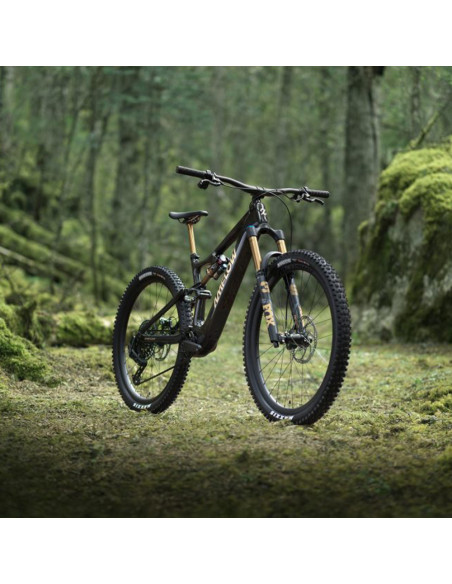 Amflow PL Carbon Pro