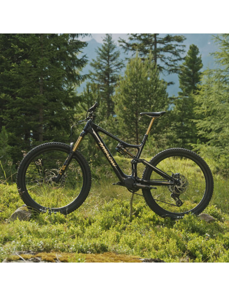 Amflow PL Carbon Pro