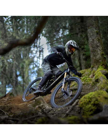 Amflow PL Carbon Pro