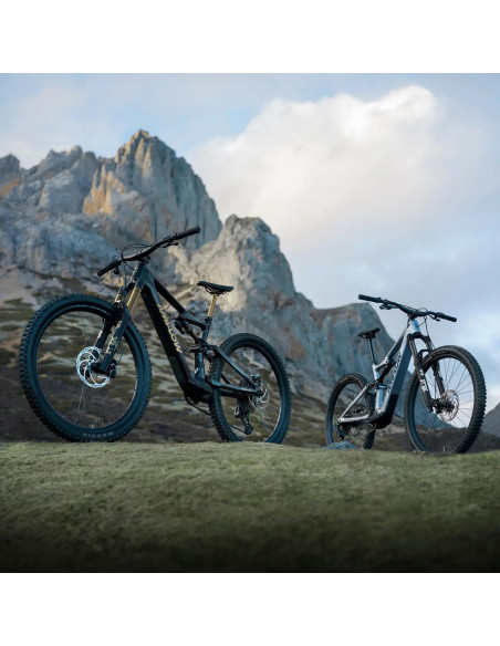 Amflow PL Carbon Pro