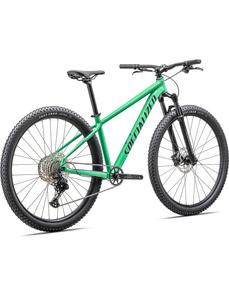 Specialized Rockhopper Expert, 29