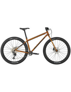 Kona Unit X, 29