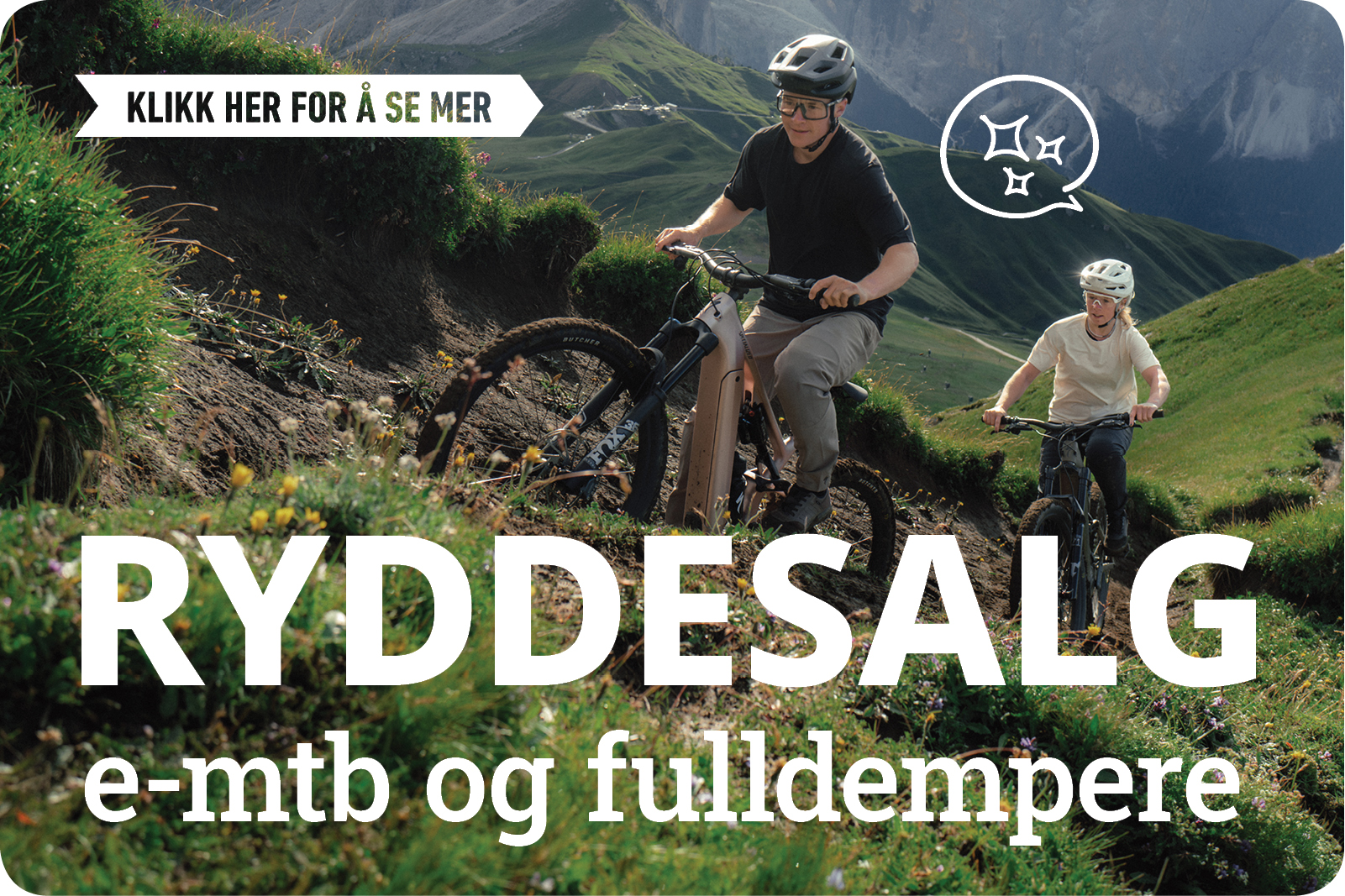 RYDDESALG E-MTB